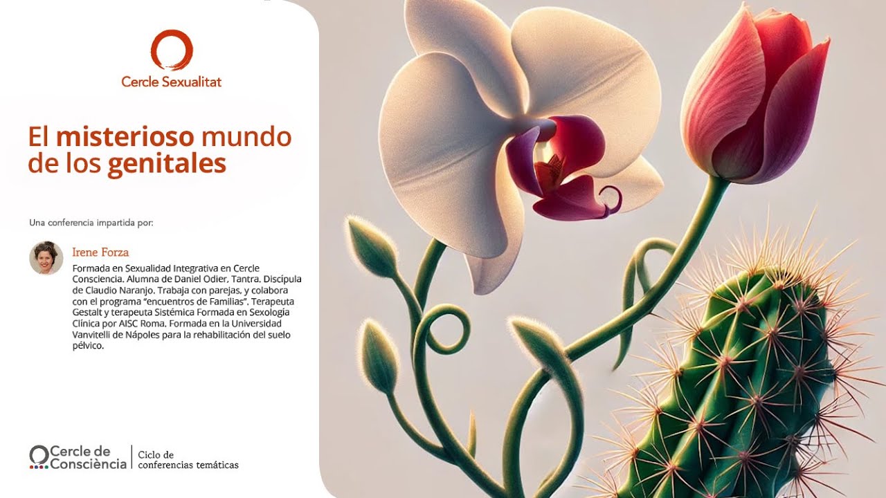 El misterioso mundo de los genitales