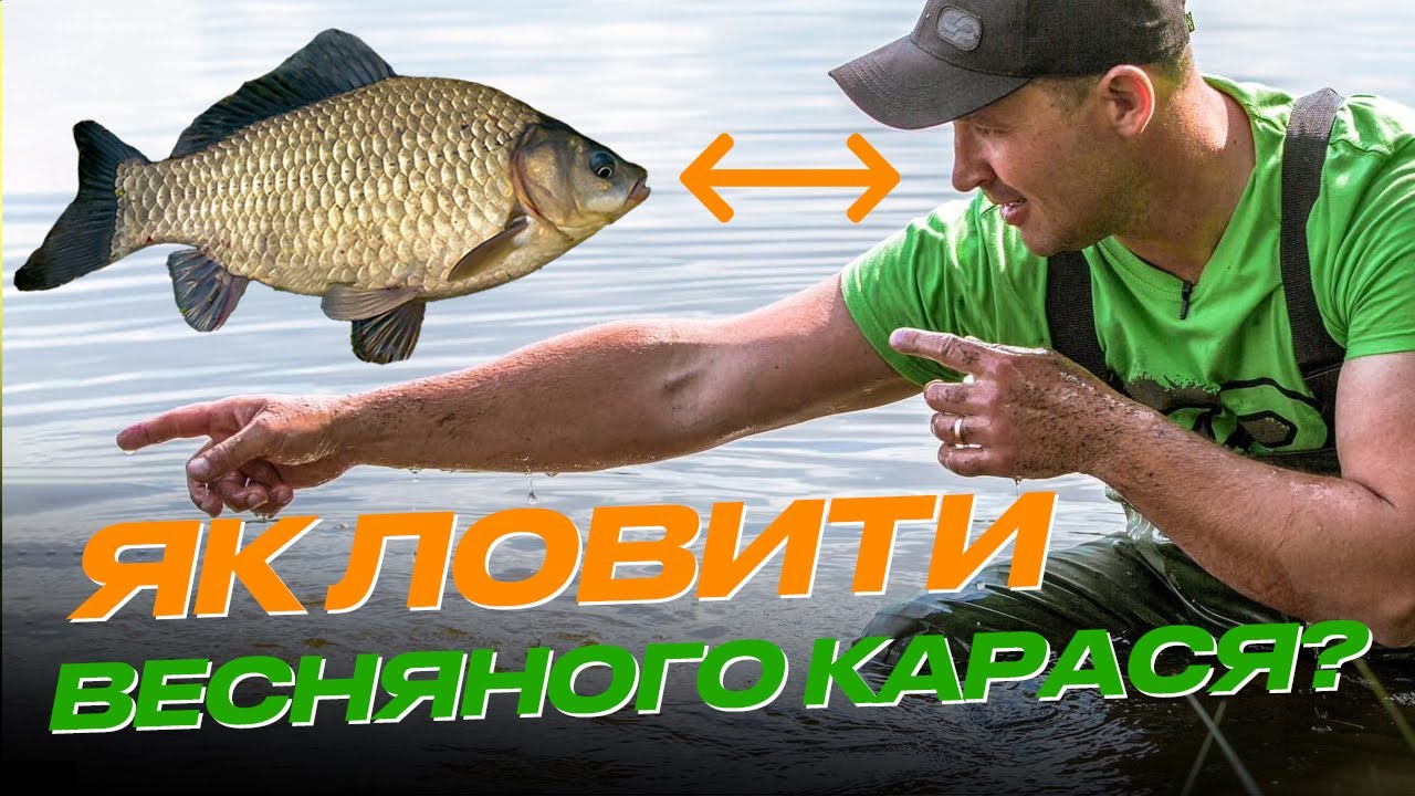 🚀 7 Порад для Ловлі КАРАСЯ на весні: де шукати, прикормка, насадка, повідці