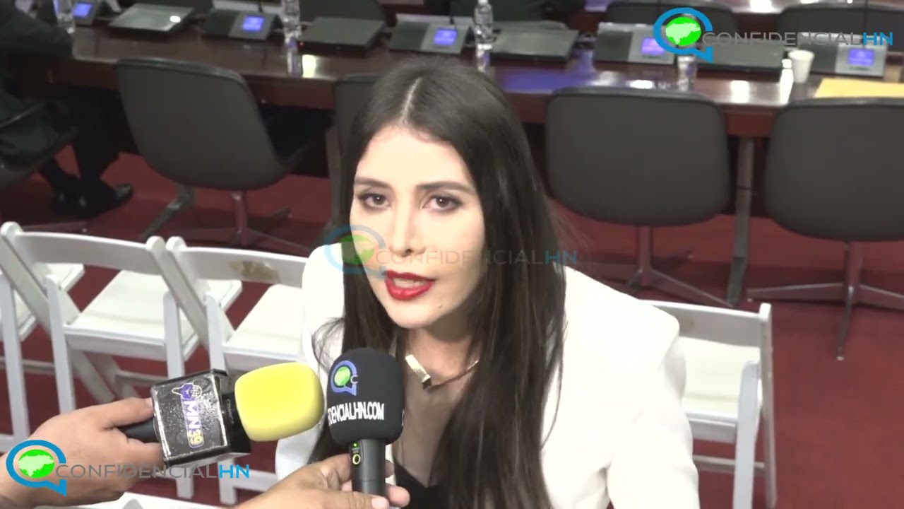 Iroshka Elvir: El juicio político debe realizarse a los tres consejeros del CNE, no sólo a Ochoa