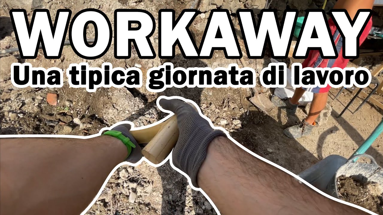 TENERIFE 2021- La tipica giornata da volontario Workaway