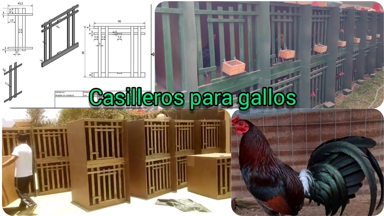 Como hacer casillas para gallos