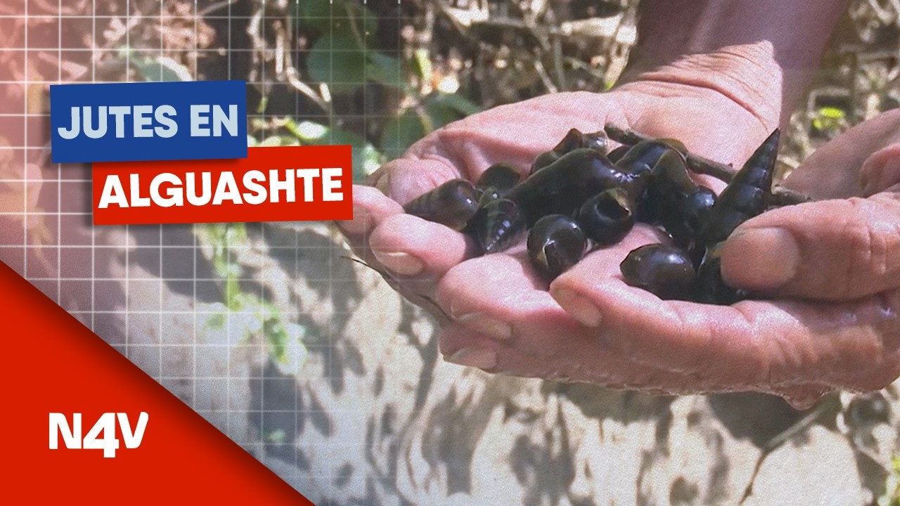 El sabor de San Lorenzo, Ahuachapán | Noticias 4 Visión | El Salvador