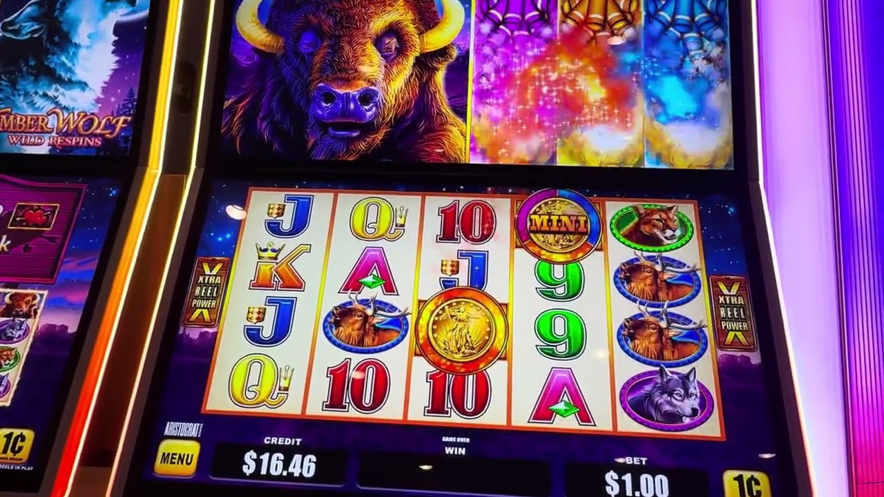 Buffalo And Friends Jackpots 🦬 #slots 
