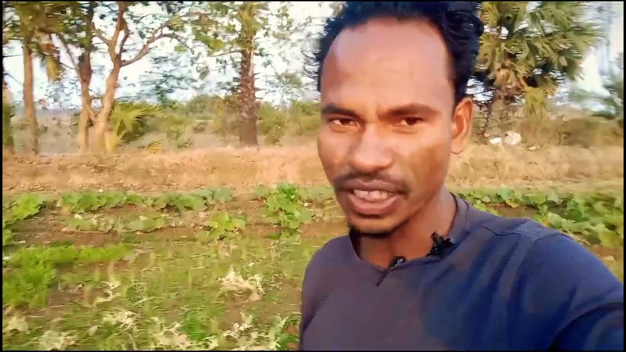 সবজি জমিতে গিয়ে কাঁচা খেয়ে ফেললাম 😱🌿।#village #daily vlog #Sb akash kumar Vlog 