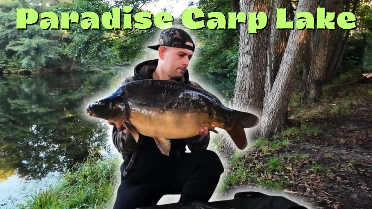 Paradise Carp Lake - Magiczne miejsce dla Karpiarza