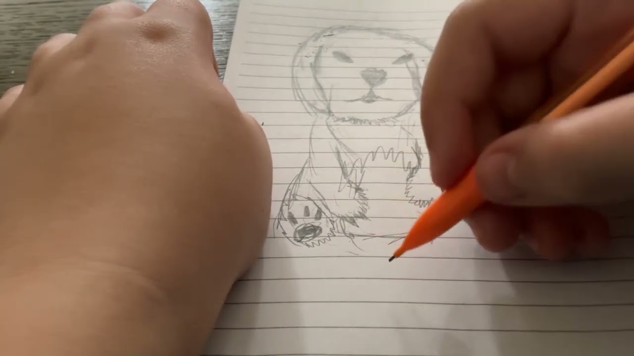 Cute bunny dog
