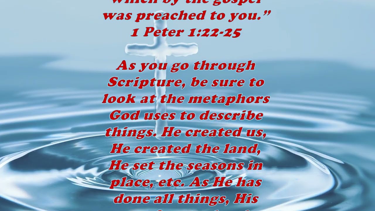 Daily Bible Verse Commentary - Matthew 