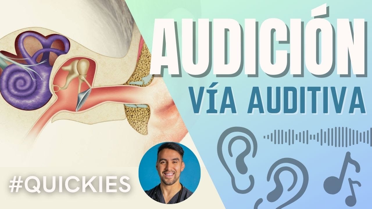 Vía Auditiva y Audición: Relevos Neurociencias
