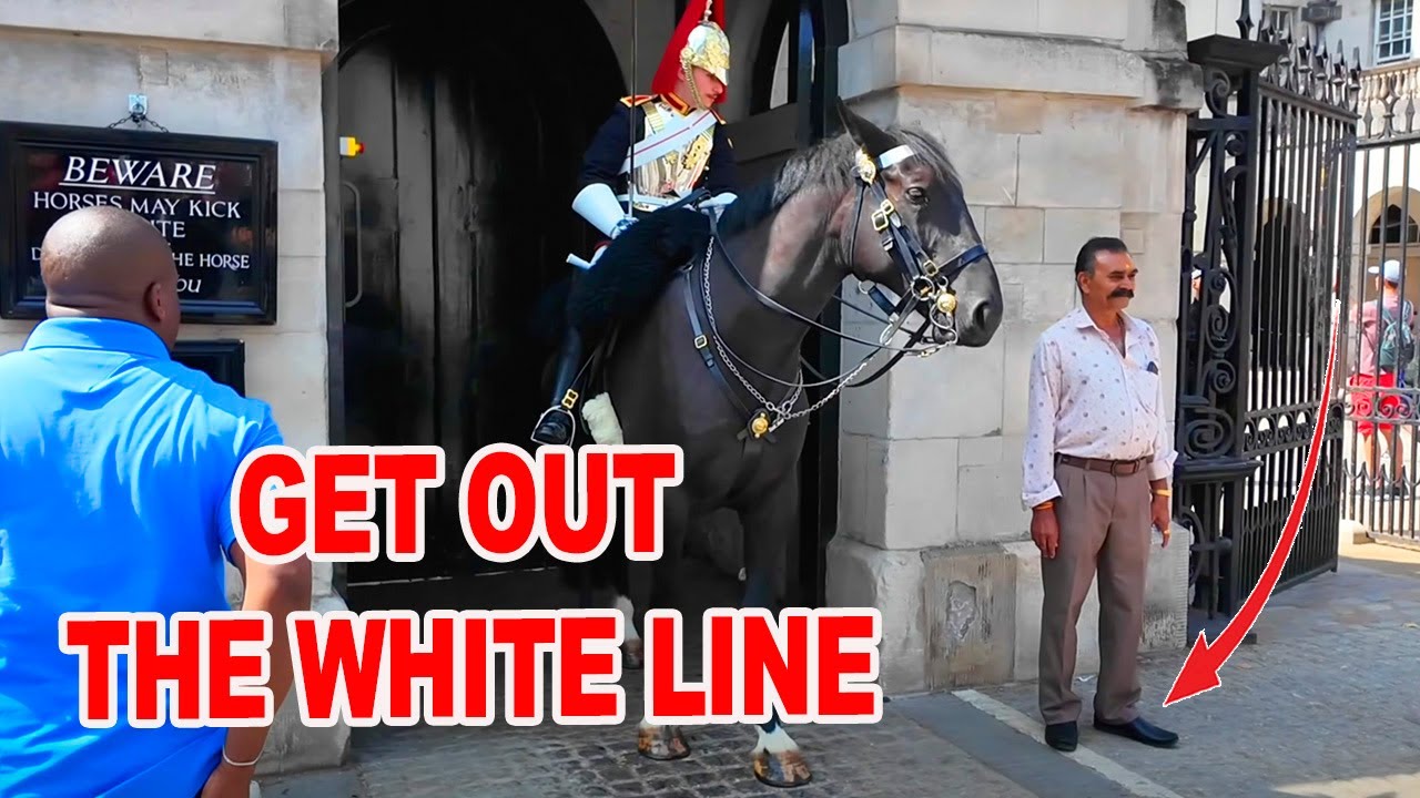😮‼️Tourists Cross the Line – Guard’s Reaction Goes Viral..!