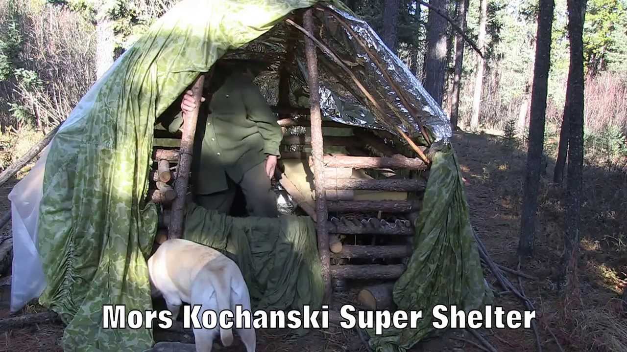Морс Кохански Супер Приют