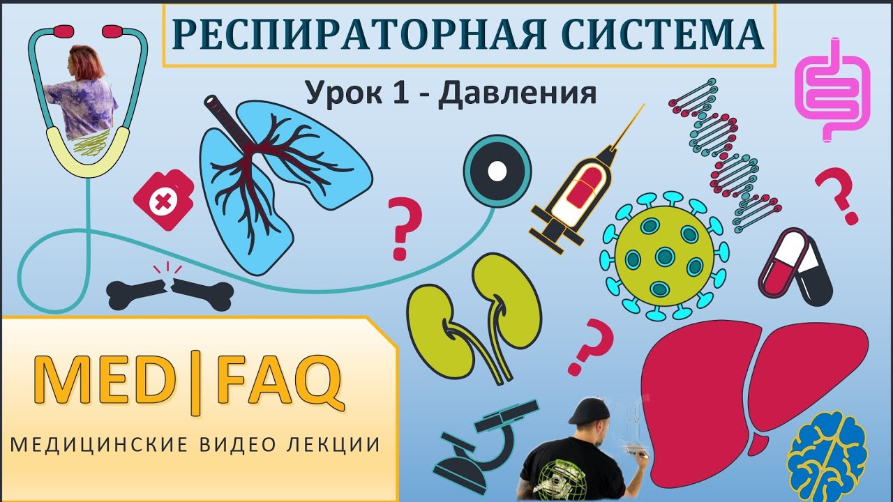 Респираторная система УРОК 1 - ДАВЛЕНИЯ
