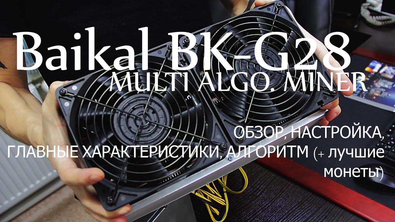 Baikal BK-G28 (MULTI ALGO. MINER) обзор, настройка и доходность