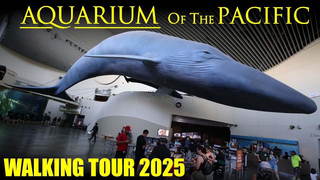 Aquarium of the Pacific - Long Beach - Walking Tour 4K - 2025 - Long Beach Aquarium