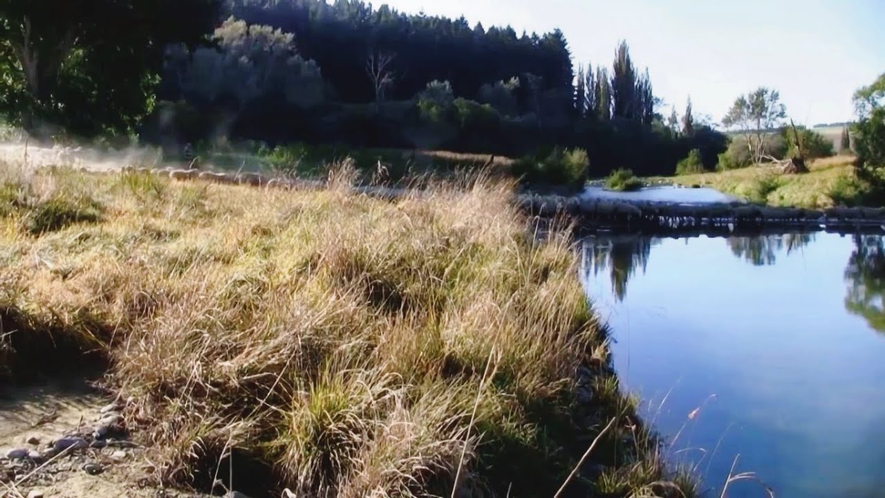 Fly Fishing South Island, New Zealand - Trialing a New Camera 2022