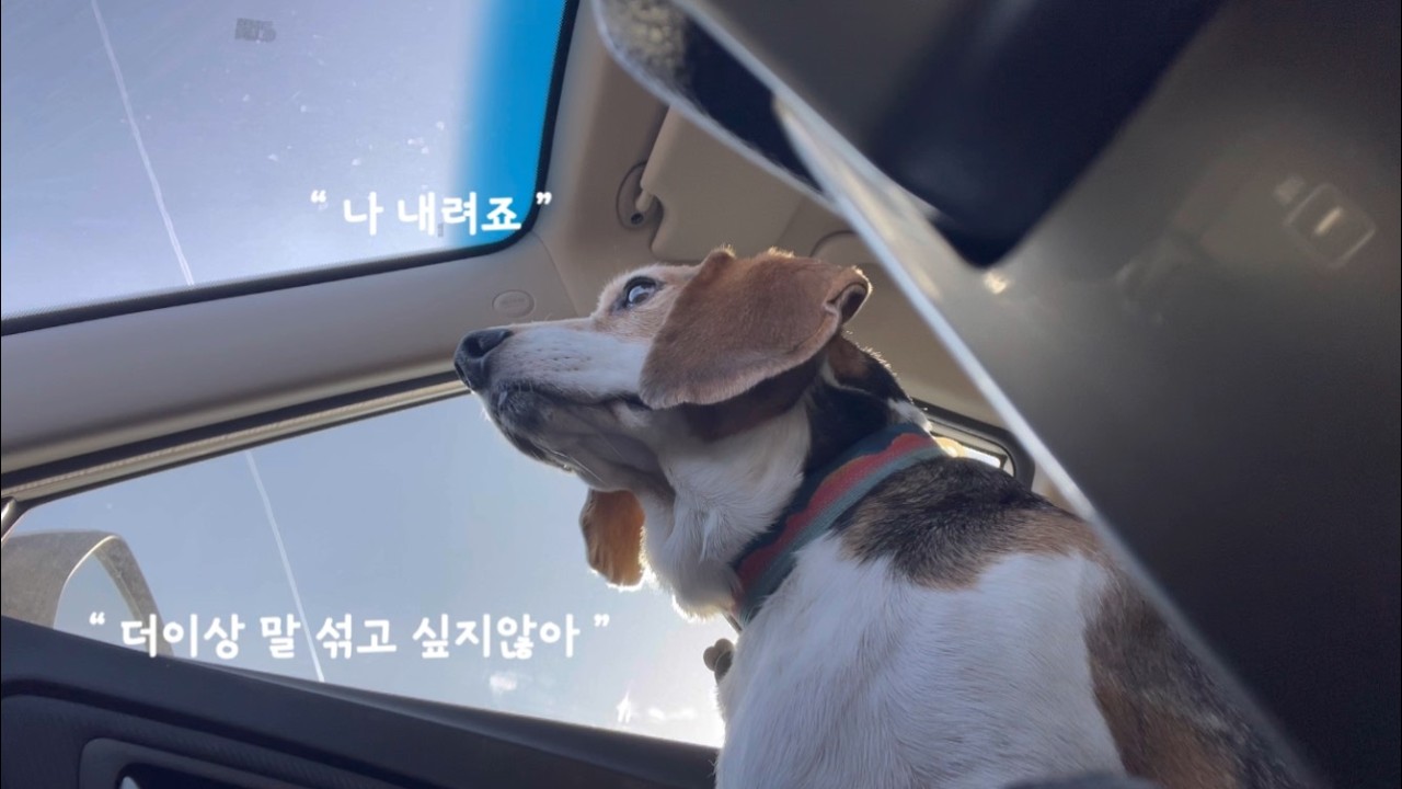 나 이제 병원 ㄱr.. 우리집 제주도거든? 배타고 서울 병원 간다구