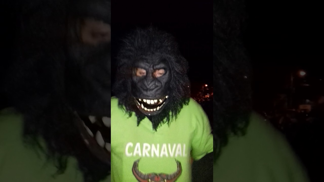 Carnaval Pátzcuaro - Colonia Ibarra 2017.