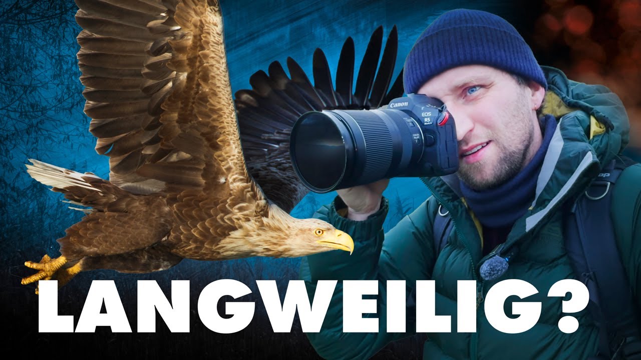 ICM statt Perfektion | Vogelfotografie mit 2 Sek.