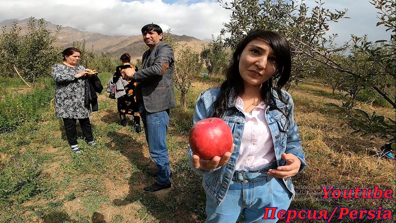 ТАДЖИКИСТАН/Таджикабад/ГАРМ/Лахш/Вахш/Файзобод/Рогун/Нуробод/Сангвор/Раштская Долина/Tajikistan