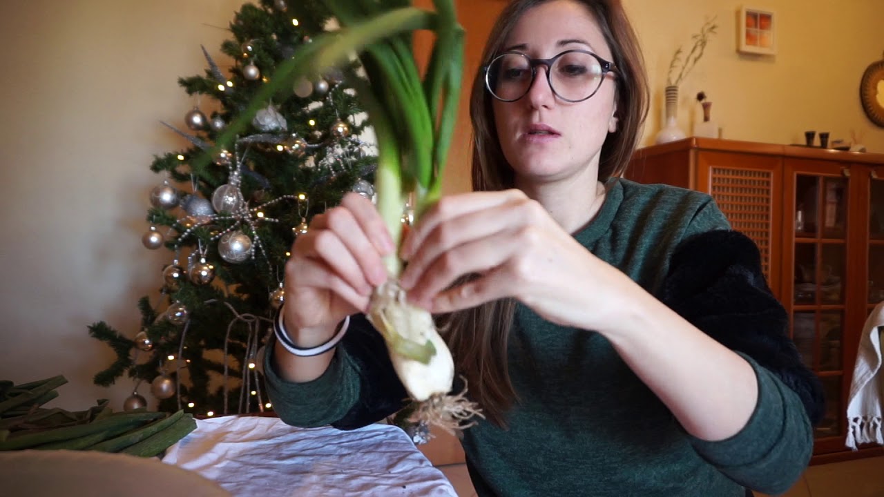 SPONSALI : cosa sono e come si puliscono!