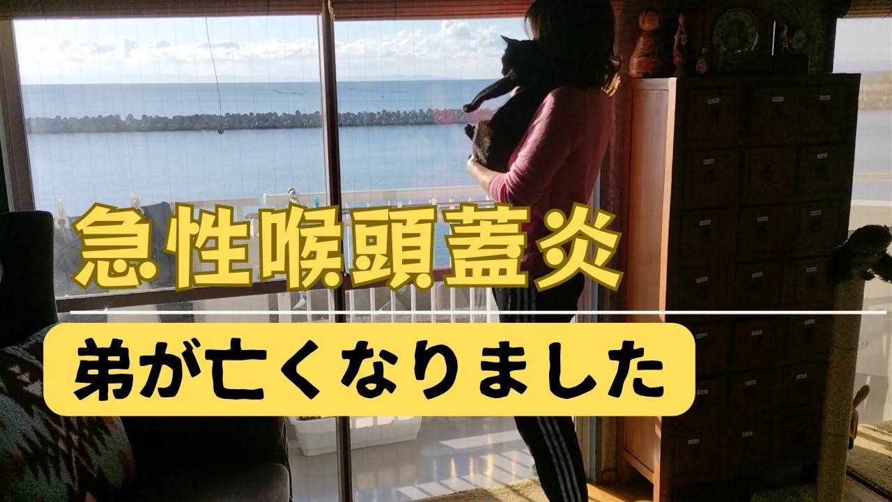 急性喉頭蓋炎（きゅうせいこうとうがいえん）で弟があっけなく逝ってしまいました