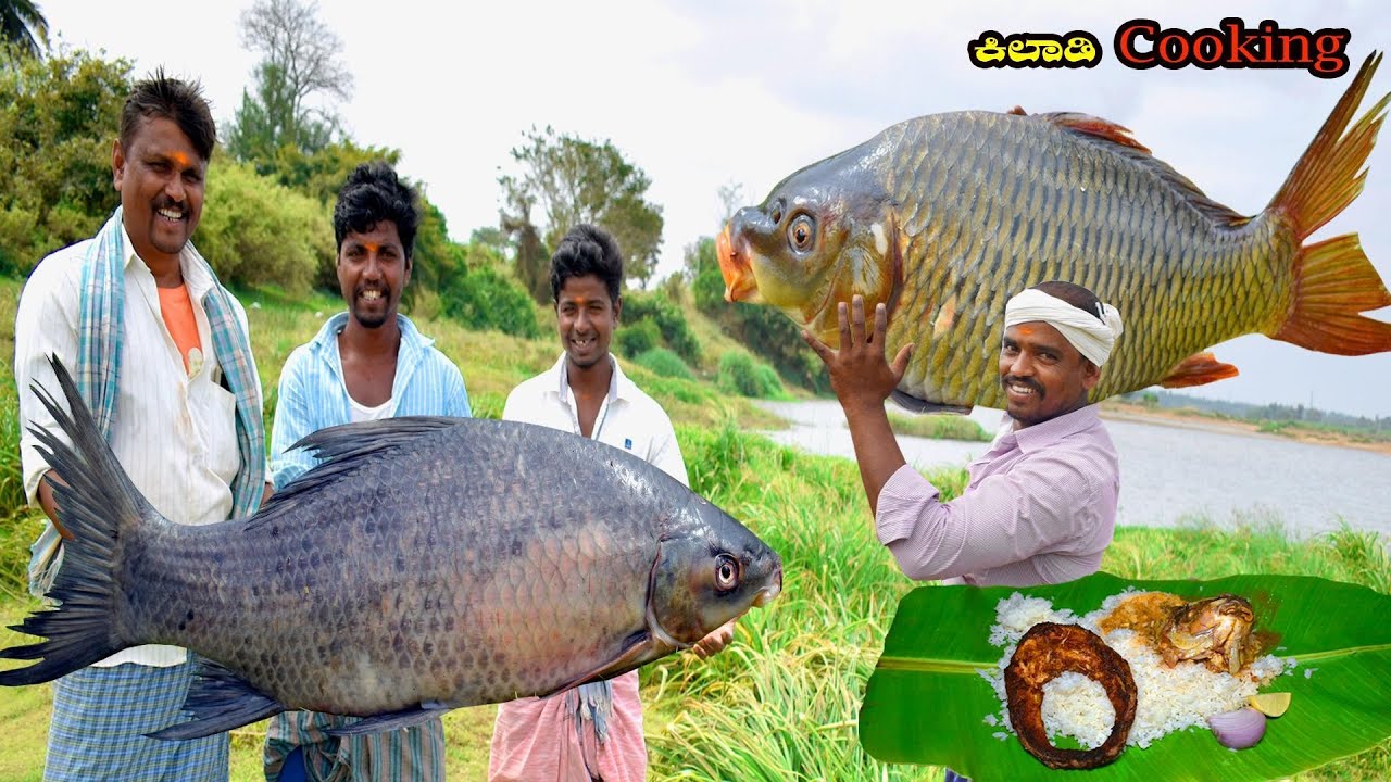 ನದಿ ಮೀನು ಸಾರು ಕಿಲಾಡಿ cooking | traditional fish sambar cooking | fish sambar | tungabhadra nadi fish
