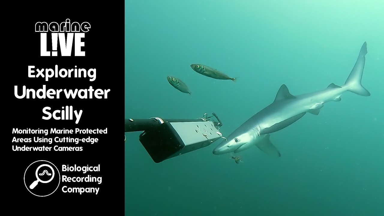 Exploring Underwater Scilly: Monitoring Marine Protected Areas Using Cutting-edge Underwater Cameras