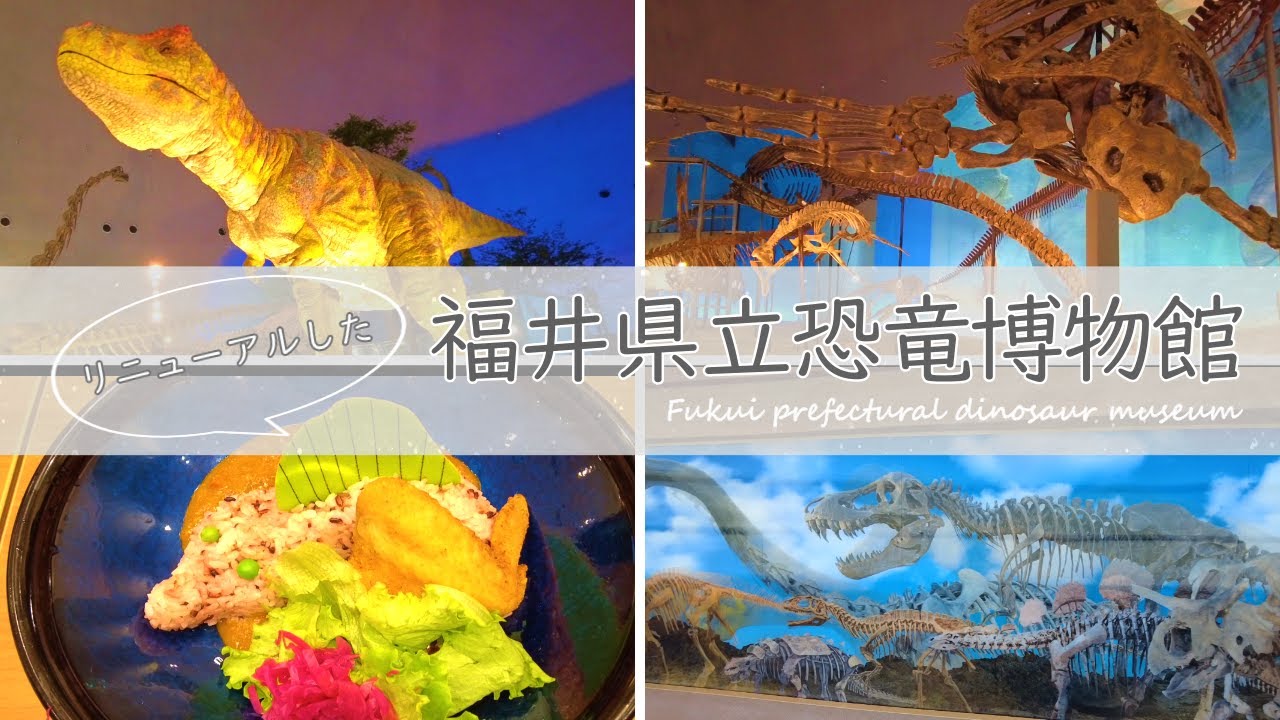 #66  【リニューアルしたところ紹介します】福井県立恐竜博物館