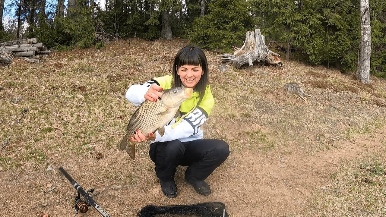 Karpu, līdaku paradīze Z/S Ūdensrozes. 🐠🐠🐠