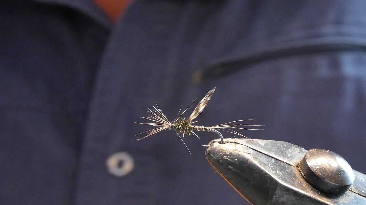 Montage mouche Pupe Moustique / Fly assembly