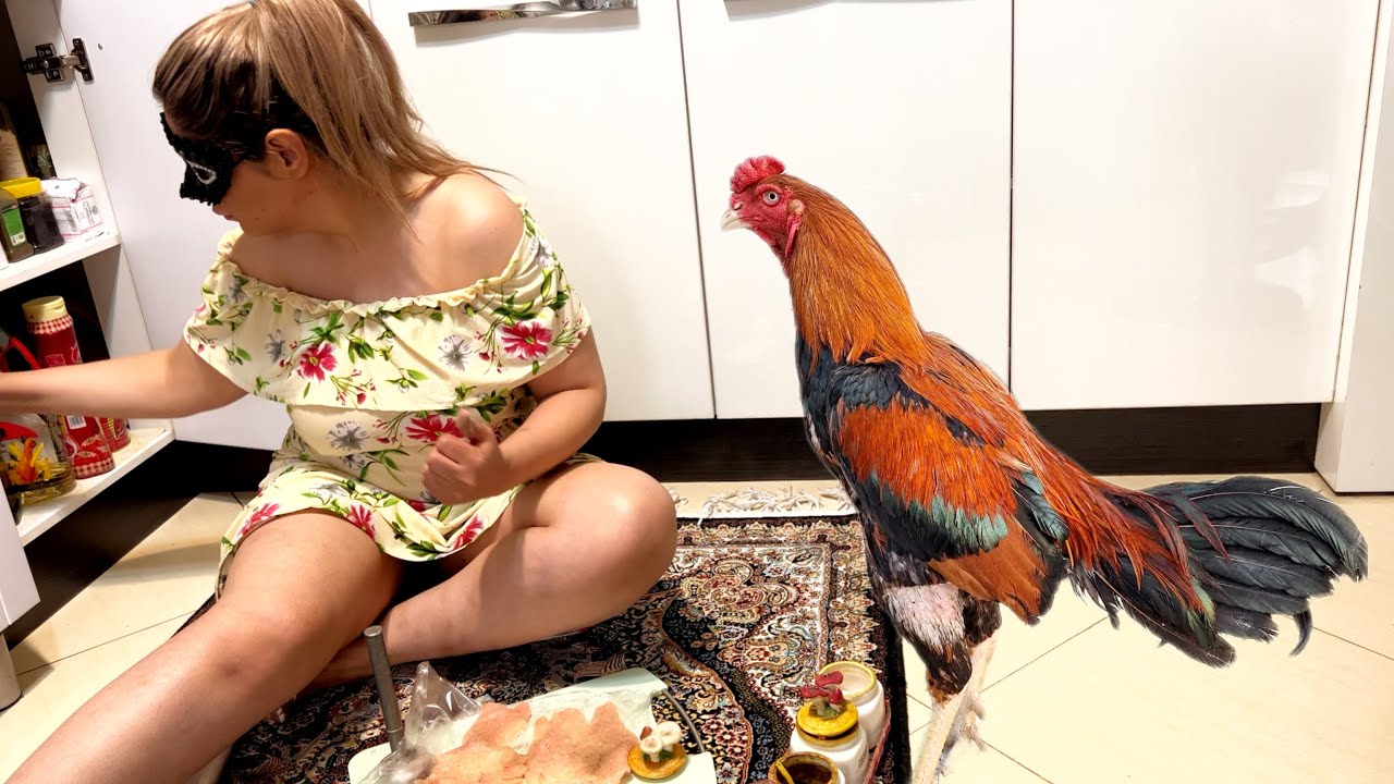 Rooster and Farm | The Secret of Traditional Food Flavor | Lifestyle of Robitaa, the Village Girl