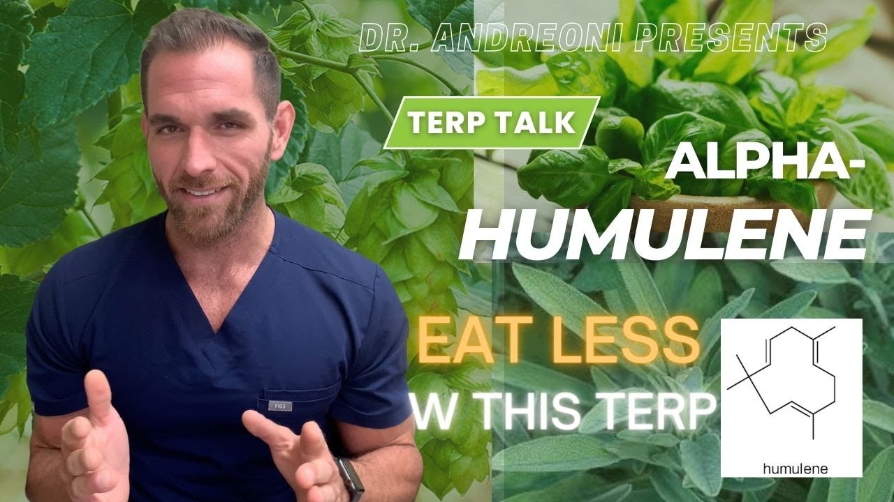 Alpha Humulene: A Terpene You Should Know About #shorts