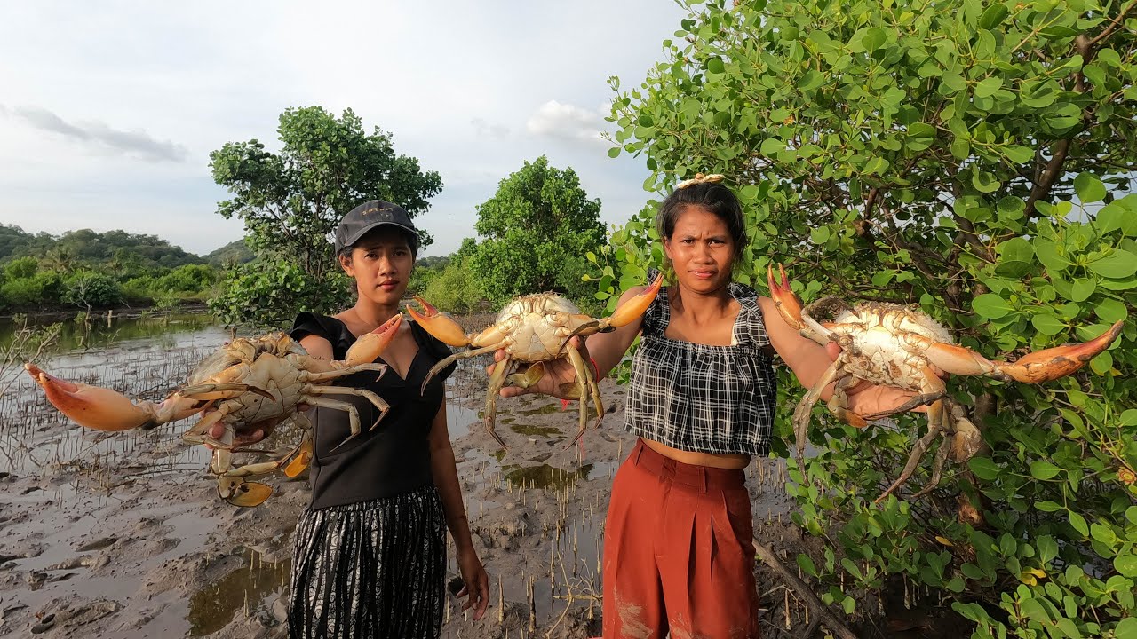 Swamp Treasure Revealed After Low Tide | Catching Many Giant Mud Crabs