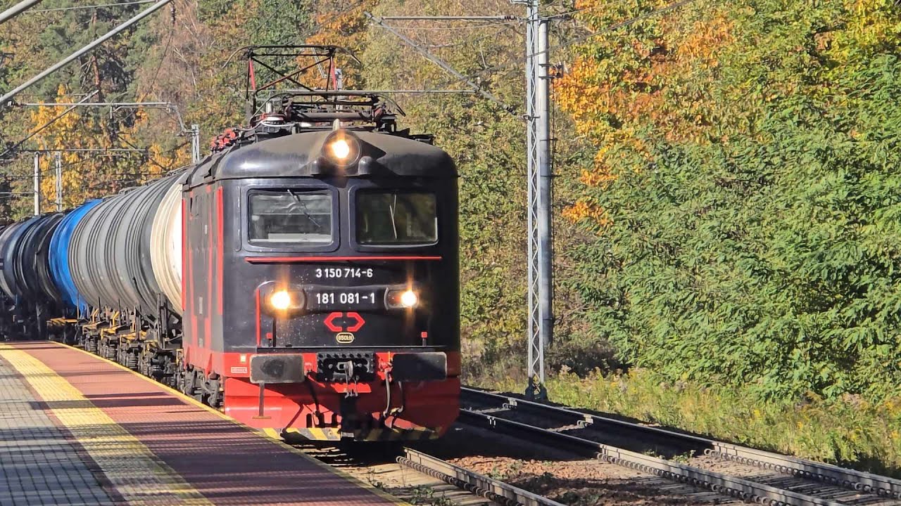 &Scaron;koda 181 081-1 | LOTOS Kolej Sp. z o o.