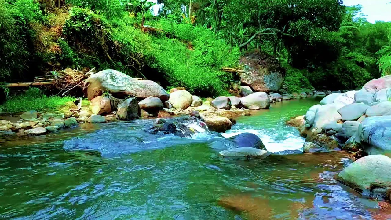 Natural River Water Sounds for Deep Sleep and Stress Free Night Rest