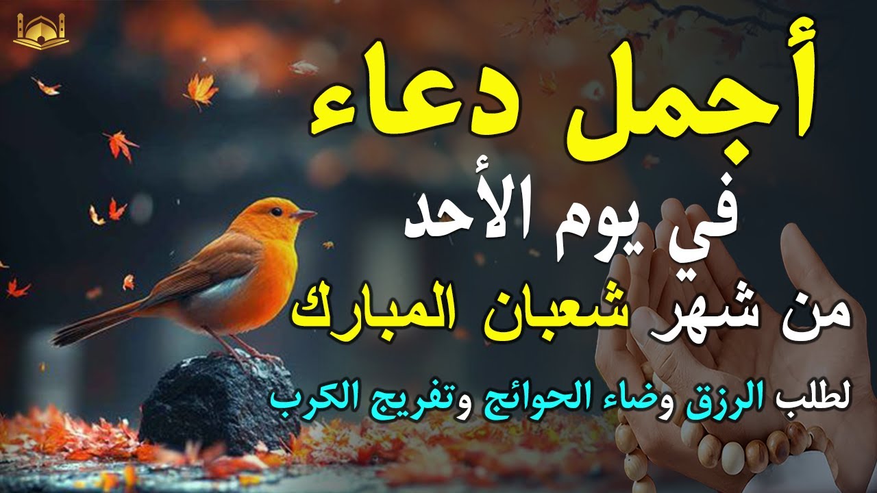 دعاء فى يوم الخميس المستجاب دعاء في 3 من شهر شعبان للرزق والشفاء العاجل وقضاء الحوائج 🤲(4k)