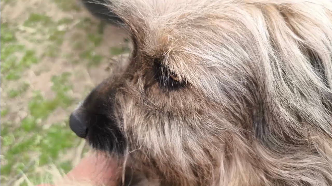 Estos sí que tiene guasa el quinto me la vuelve a liar y más gorda