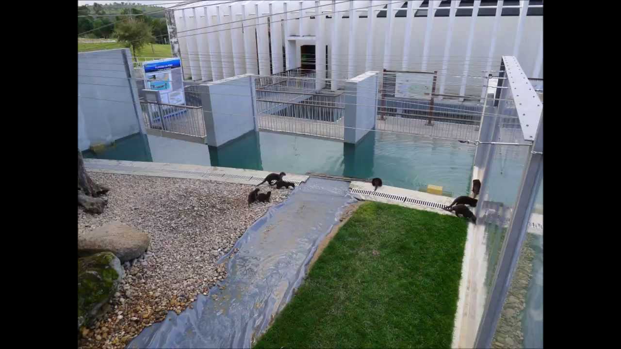 Fluviário de Mora - Novo Lontrário