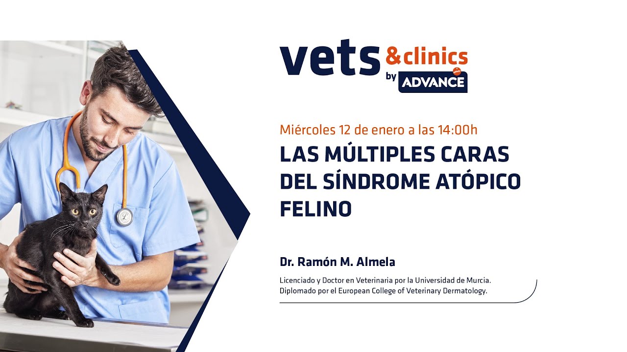 50.ES “Las múltiples caras del Síndrome Atópico Felino”(Dr. Ramón M. Almela)