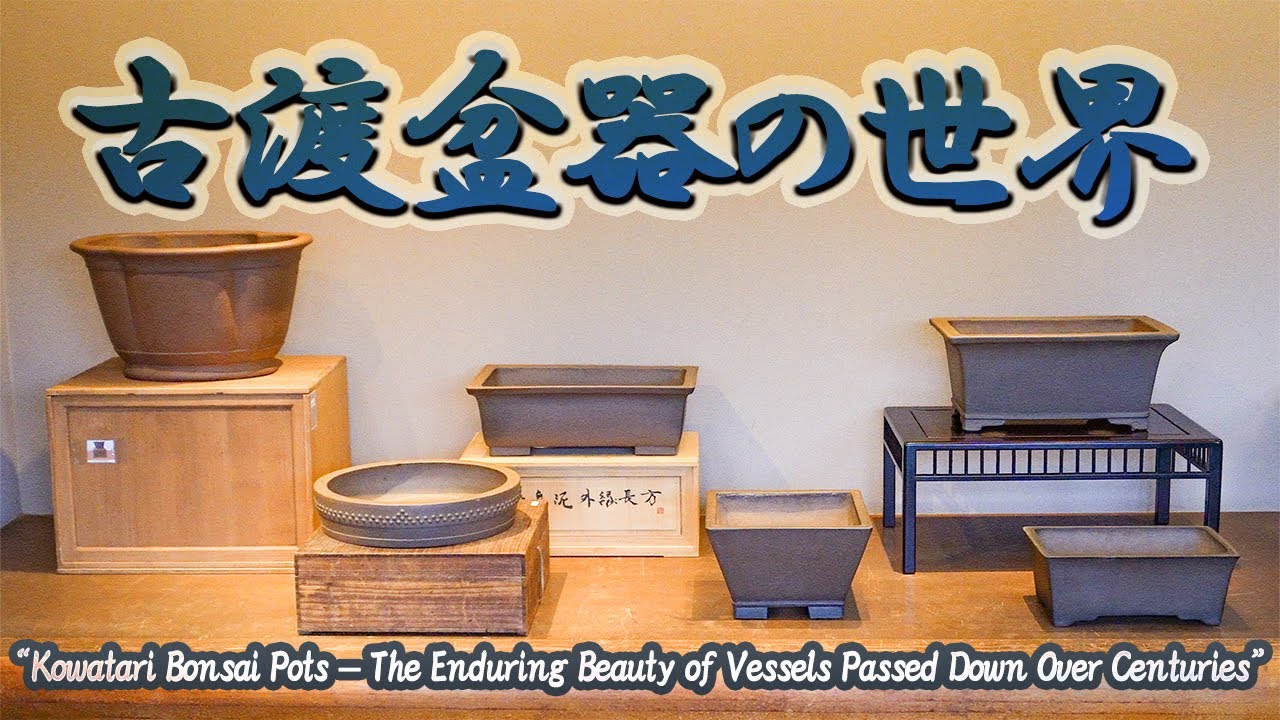 古渡盆器～数百年を超えて受け継がれる“盆栽鉢の美”～