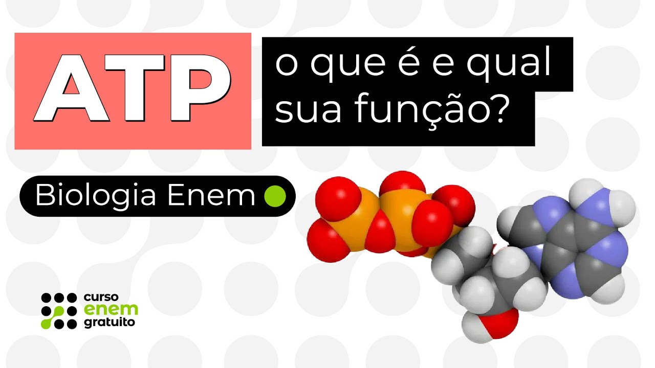 ATP: o que é e qual sua função? | Biologia para o Enem | Cláudia de Souza Aguiar