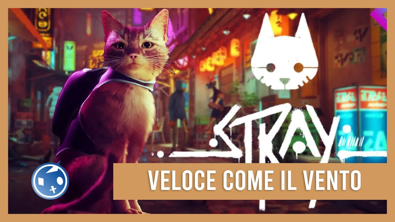 Stray - Trofeo 