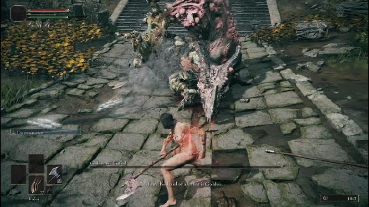 {Elden Ring} Lvl 1 Run