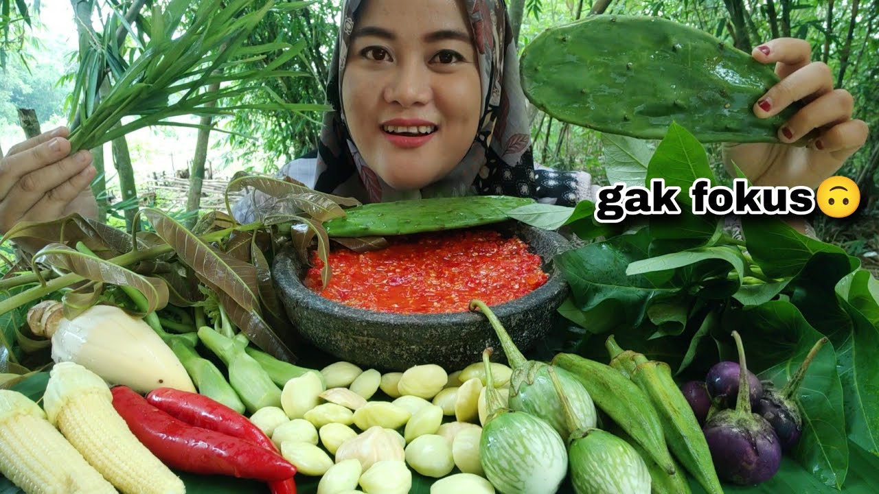 MAAF - GAK FOKUS BANYAK GANGGUAN HEWAN KAKI BERTANDUK !!🙂
