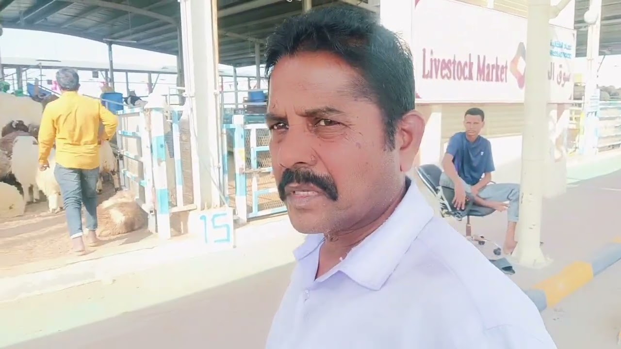 கத்தார் 🦙🦙ஆட்டு சந்தை மார்க்கெட் JP LOOTY VLOGS 👍🏻Like and subscribe