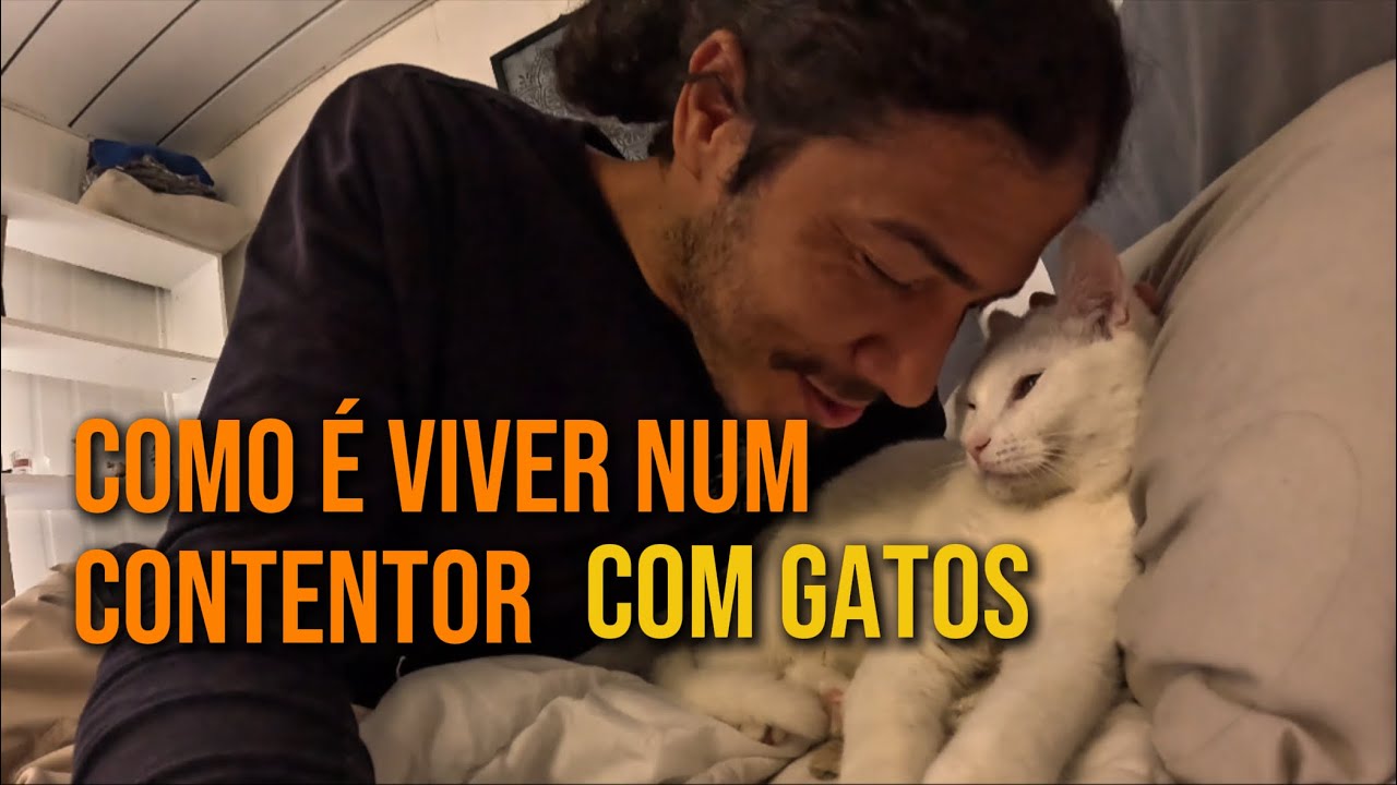 Morar num contentor com gatos 🐈 sem romantizar!