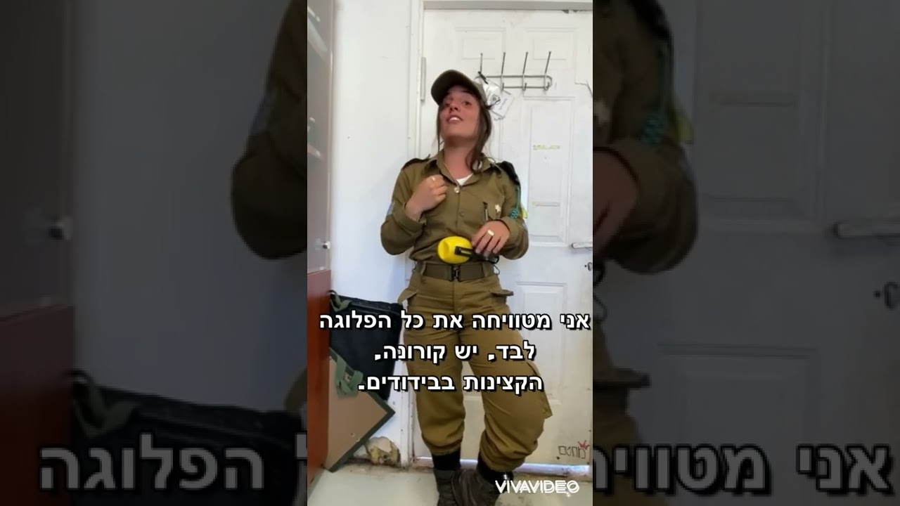 סאו לאו מפ דקל