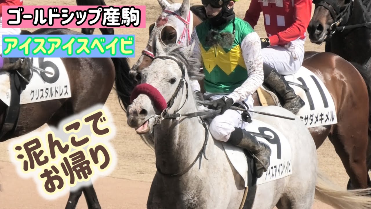 【ゴールドシップ産駒】綺麗なお顔が泥だらけになりながら頑張るアイスアイスベイビ