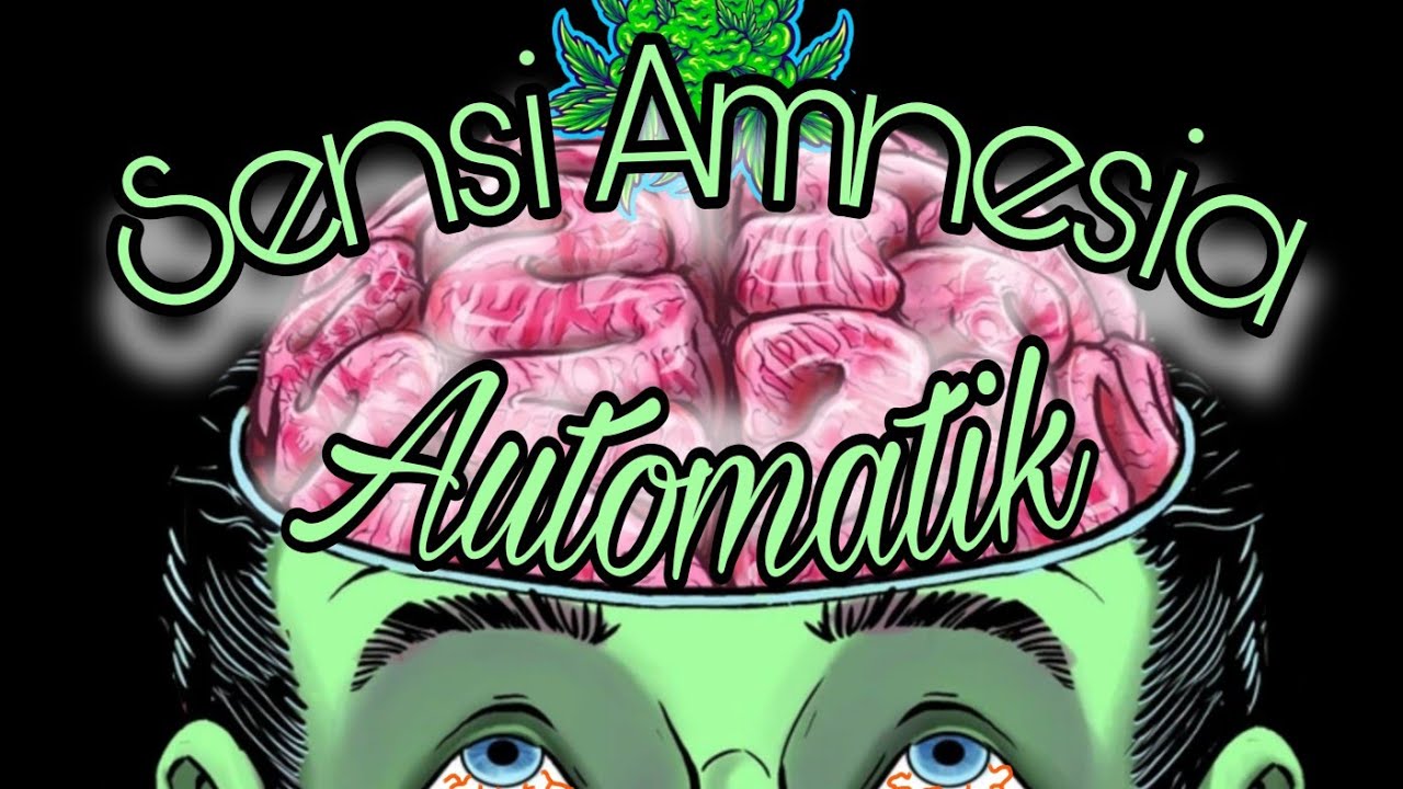 Sensi Amnesia Automatik Sensi Seeds Timelaps 