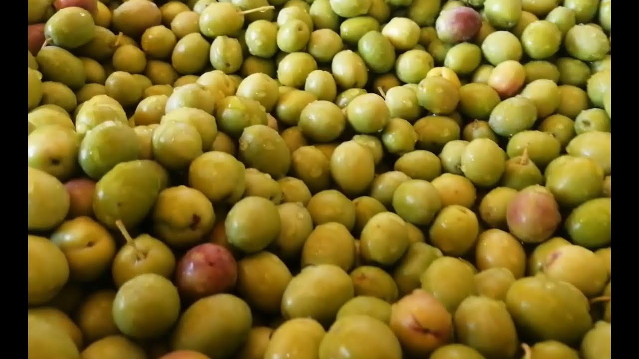 Kırmadan Çizmeden Uğraştırmadan Salamura Zeytin