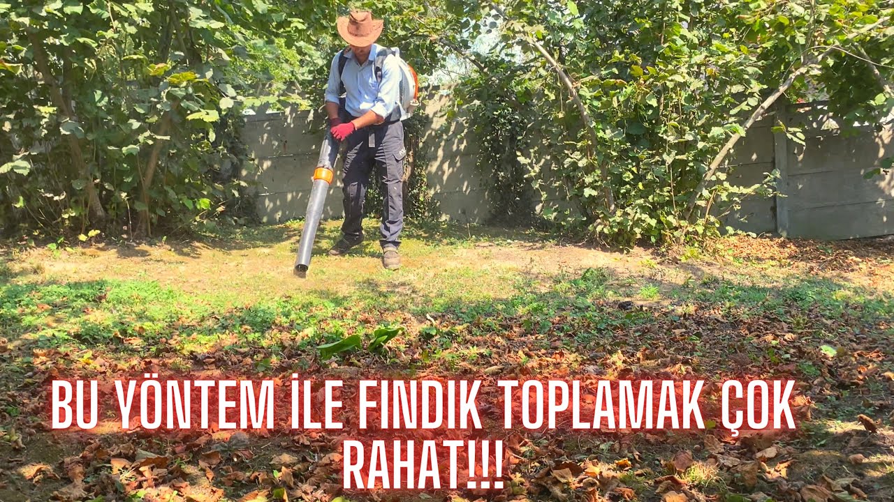 FINDIK  TOPLAMA MACERAMIZ : ÜFLEME MAKİNASI İLE VERİMLİ ÇALIŞMA..